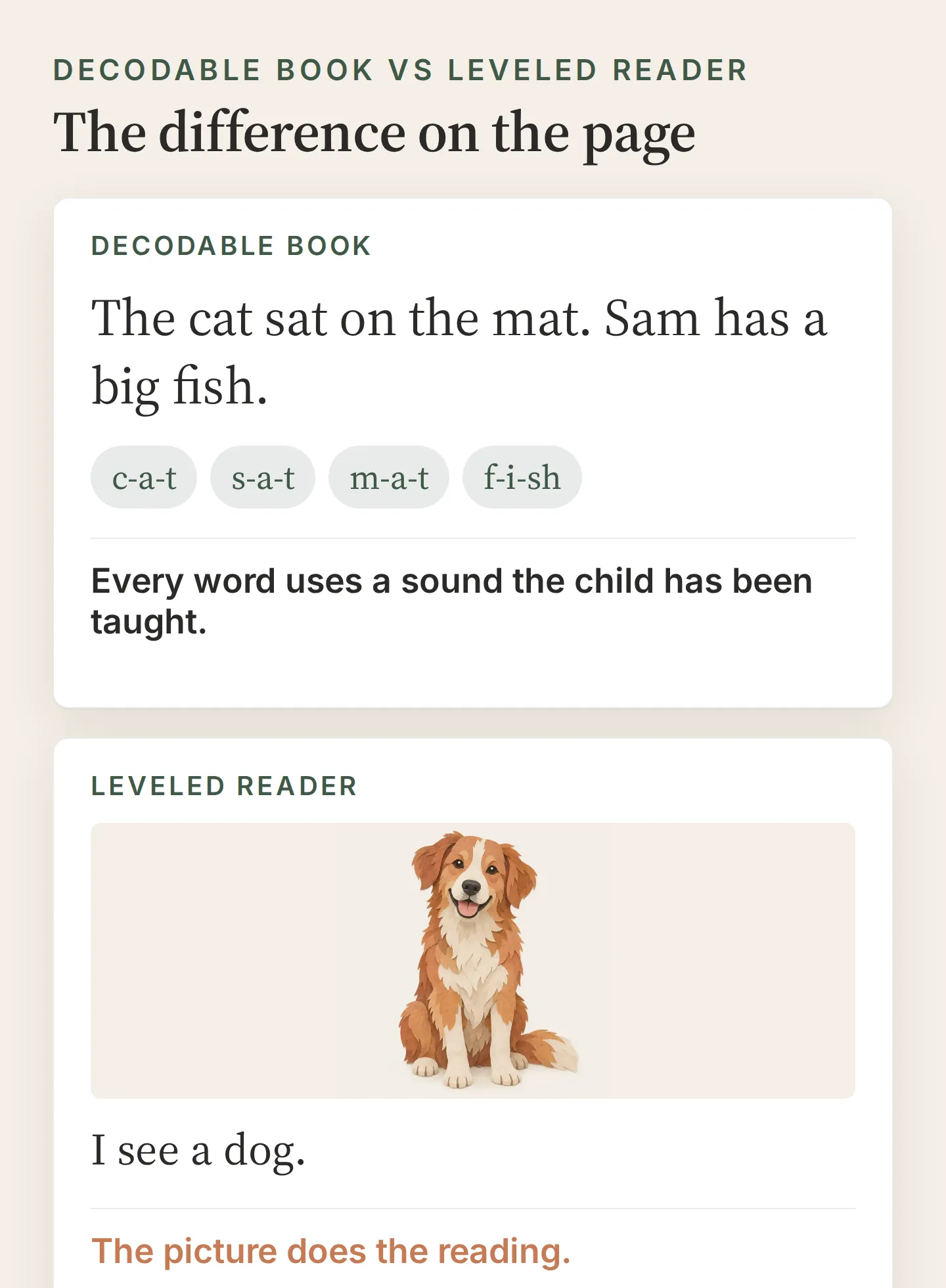 Two book pages side by side. Decodable: The cat sat on the mat, every word sounded out. Leveled: a big picture of a dog over the words I see a dog.